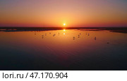 Flamingos wade in calm water during a serene sunset, vibrant orange sky reflecting on the water, showcasing peaceful nature. Стоковое AI-изображение, AI-художник Александра Рублева / Фотобанк Лори