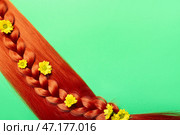 Рыжие волосы с косичкой и цветами на цветном фоне. Стоковое фото, фотограф Pixel_shot / Фотобанк Лори