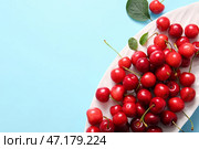 Разложите сладкие вишни на голубом фоне. Стоковое фото, фотограф Pixel_shot / Фотобанк Лори