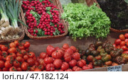 Radish and green country salad on the supermarket counter. Seasonal vegetables and greens in a vegetable shop. Стоковое видео, видеограф Яков Филимонов / Фотобанк Лори