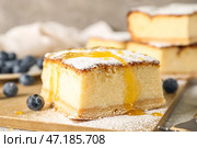 Деревянная доска с кусочком творожной запеканки и черникой на столе, крупным планом. Стоковое фото, фотограф Pixel_shot / Фотобанк Лори