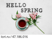 Чашка чая, цветы альстромерии и текст HELLO SPRING на светлом фоне. Стоковое фото, фотограф Pixel_shot / Фотобанк Лори