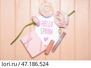 Открытка с текстом HELLO SPRING, красивые цветы ранункулюса, подарочная коробка и косметика на цветном деревянном фоне. Стоковое фото, фотограф Pixel_shot / Фотобанк Лори