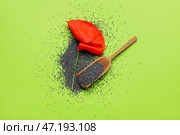 Совок с маком и цветком на цветном фоне. Стоковое фото, фотограф Pixel_shot / Фотобанк Лори
