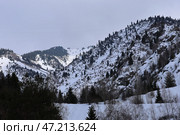 Заснеженные горы в Алматы. Медеу. Стоковое фото, фотограф Евгений Митрофанов / Фотобанк Лори