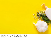Гель для душа с пучком мочалки и цветками ромашки на цветном фоне. Стоковое фото, фотограф Pixel_shot / Фотобанк Лори