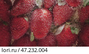 A beautiful arrangement of fresh, juicy strawberries delicately piled with glistening water drops. Стоковое видео, видеограф Владимир Ковальчук / Фотобанк Лори