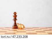Шахматная доска с королями на белом фоне. Стоковое фото, фотограф Pixel_shot / Фотобанк Лори