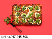 Вкусный итальянский пирог с моцареллой и соусом песто на красном фоне. Стоковое фото, фотограф Pixel_shot / Фотобанк Лори
