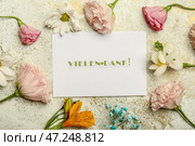 Карточка с текстом VIELEN DANK и разными цветами на светлом фоне. Стоковое фото, фотограф Pixel_shot / Фотобанк Лори