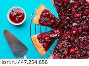 Сетка с нарезанным вкусным брусничным пирогом и вареньем на цветном фоне. Стоковое фото, фотограф Pixel_shot / Фотобанк Лори