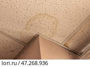 Looking directly up at a dirty stained ceiling tile. Stained were made by water leaking from above.Low angle view. Стоковое фото, фотограф Михаил Яковлев / Фотобанк Лори