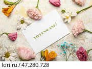 Карточка с текстом VIELEN DANK и разными цветами на светлом фоне. Стоковое фото, фотограф Pixel_shot / Фотобанк Лори