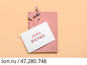 Карточка с текстом SCHON DANKE, блокнотом и сухоцветами на цветном фоне. Стоковое фото, фотограф Pixel_shot / Фотобанк Лори