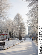 Самара Загородный парк зимой. Редакционное фото, фотограф Ольга Коркина / Фотобанк Лори