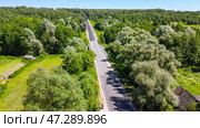 Автомобильная дорога через лес. Село Селец, Брянская область, Россия (2021 год). Стоковое фото, фотограф Господин Никто / Фотобанк Лори