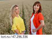 Two women sitting together in a golden wheat field during sunset sharing a moment of friendship and connection. Стоковое фото, фотограф Вербицкая Светлана / Фотобанк Лори