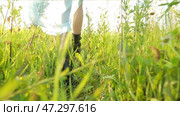 girl walking through a meadow and loops through wildflowers. Стоковое видео, видеограф Алексей Сергеев / Фотобанк Лори