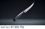 High-quality kitchen knife showcased against a dark background highlights its sharp blade and sleek design. Стоковое AI-изображение, AI-художник Сергей Толмачёв / Фотобанк Лори