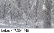 Winter landscape during snowfall. Winter Christmas abstract background on super slow motion. Стоковое видео, видеограф Андрей Армягов / Фотобанк Лори