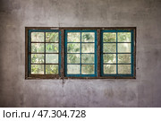 Rustic Windows Framing Nature's Tranquility in an Abandoned Building Space. Стоковое фото, фотограф Aleksandr Golubev / Фотобанк Лори