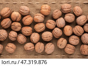 Unshelled walnut. Стоковое фото, фотограф Александр Собко / Фотобанк Лори