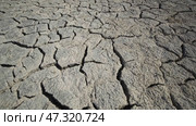 Dry cracked soil forming a beautiful pattern due to the lack of water in the sivash lake near the arabat spit in crimea. Стоковое видео, видеограф Mikhail Davidovich / Фотобанк Лори