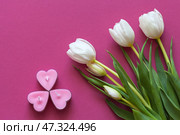 Romantic composition with bouquet of delicate spring white tulips and heart-shaped candles on pink background. Empty space for text, congratulations on birthday, Valentine's Day, March 8, Mother's Day. Стоковое фото, фотограф Виктория Катьянова / Фотобанк Лори