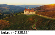 Aerial view of winery building and lush vineyards covering gently rolling hills. Neat rows of vines and the setting sun create mesmerising patterns on landscape. Стоковое AI-видео, аниматор Елена Никишина / Фотобанк Лори