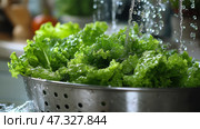 Fresh lettuce being washed under running water in a kitchen sink. Хрустящие зеленые листья салата промываются под проточной водой в дуршлаге из нержавеющей стали, капли сверкают на свету. Стоковое AI-изображение, AI-художник Katsiaryna Repich / Фотобанк Лори