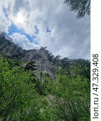 An impressive mountain landscape of Crimea. Below are dense green bushes and young trees, among which rocky soil can be seen. Above them rises a powerful rock with sharp ledges, covered with rare pine trees, as if they grew straight from the stone. The sky above the mountain is changeable: dramatic clouds with gaps of blue and soft sunlight breaking through the clouds. The atmosphere is powerful, alive, like the breath of the earth itself. (2021 год). Стоковое фото, фотограф Анна Кривицкая / Фотобанк Лори