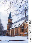 Kaliningrad, Kaliningrad region, Russia, January 20, 2022. Cathedral on Kant Island in winter. Редакционное фото, фотограф Наталья Симакова / Фотобанк Лори