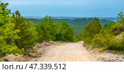 A quiet, secluded forest road in Crimea, going down among lush greenery. The whole scene is permeated with an atmosphere of peace and freshness. On both sides of the road are pine trees, oaks and bushes, in the grass here and there yellow wildflowers are visible. In the distance are green forest hills, and even further, behind them, is the blue strip of the Black Sea and the contours of coastal settlements. The cloudy sky with a soft diffused light illuminates the landscape, making it especially rich and lively. Стоковое фото, фотограф Анна Кривицкая / Фотобанк Лори