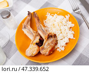 Lunch is served on plate - baked pieces of young rabbit with side dish boiled rice. Стоковое фото, фотограф Яков Филимонов / Фотобанк Лори