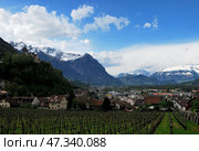 Vaduz castle view, Lichtenstein (2012 год). Редакционное фото, фотограф Александр Карпенко / Фотобанк Лори