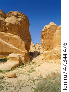 Petra. Wadi Musa, Jordan, panoramic view of Siq Gorge canyon sandstone cliffs and rocks at daytime (2023 год). Стоковое фото, фотограф Сергей Богомяко / Фотобанк Лори