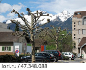 Townscape of Vaduz, Lichtenstein. april 2012. Редакционное фото, фотограф Александр Карпенко / Фотобанк Лори