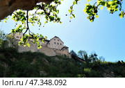 Vaduz castle view, Lichtenstein (2012 год). Редакционное фото, фотограф Александр Карпенко / Фотобанк Лори