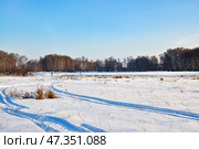 Поляна в лесу зимой. Стоковое фото, фотограф Александр Тараканов / Фотобанк Лори