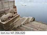 Гранитный лев на набережной Макарова. Нева, Санкт-Петербург. Стоковое фото, фотограф Александр Алексеев / Фотобанк Лори