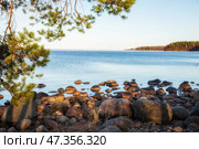 Shore of Lake Ladoga. Стоковое фото, фотограф Юлия Бабкина / Фотобанк Лори