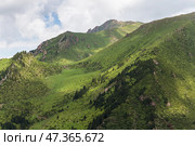 The Terskey Ala-Too in the Tian Shan mountains in Kyrgyzstan. Стоковое фото, фотограф Юлия Белоусова / Фотобанк Лори