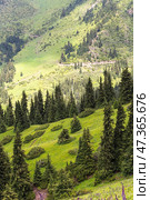 The Terskey Ala-Too in the Tian Shan mountains in Kyrgyzstan. Стоковое фото, фотограф Юлия Белоусова / Фотобанк Лори