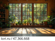 A bright and cozy room with large wooden floor-to-ceiling windows, through which soft morning or evening sunlight penetrates. Outside the windows there is a green forest, and inside on the windowsills and shelves there are many indoor plants in ceramic and clay pots. The light and shadows from the window bars fall on the wooden floor, creating a warm, peaceful atmosphere. The room is filled with peace, the life of nature and a sense of harmony with the surrounding world. Стоковое AI-изображение, AI-художник Анна Кривицкая / Фотобанк Лори