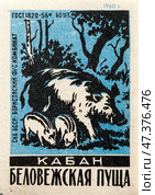 Кабан. Серия: Беловежская пуща. Спичечные этикетки СССР. 1960. Редакционное фото, фотограф Сергей Афанасьев / Фотобанк Лори