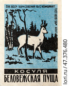 Косуля. Серия: Беловежская пуща. Спичечные этикетки СССР. 1960. Редакционное фото, фотограф Сергей Афанасьев / Фотобанк Лори