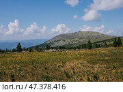 Autumn landscape in the mountains. Field yellow green grass, coniferous trees, rocky mountain and blue sky with clouds. Стоковое фото, фотограф Екатерина Якименко / Фотобанк Лори