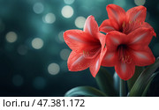 Bright Red Amaryllis Blooms Against a Soft Bokeh Background in a Warm Indoor Setting. Стоковое AI-изображение, AI-художник Юлия Гапеенко / Фотобанк Лори