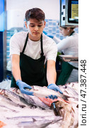 Smiling salesman demonstrating seabass in fish store. Стоковое фото, фотограф Яков Филимонов / Фотобанк Лори