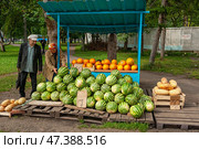Россия: уличная торговля арбузами и дынями. (2011 год). Редакционное фото, фотограф Евгений Романов / Фотобанк Лори